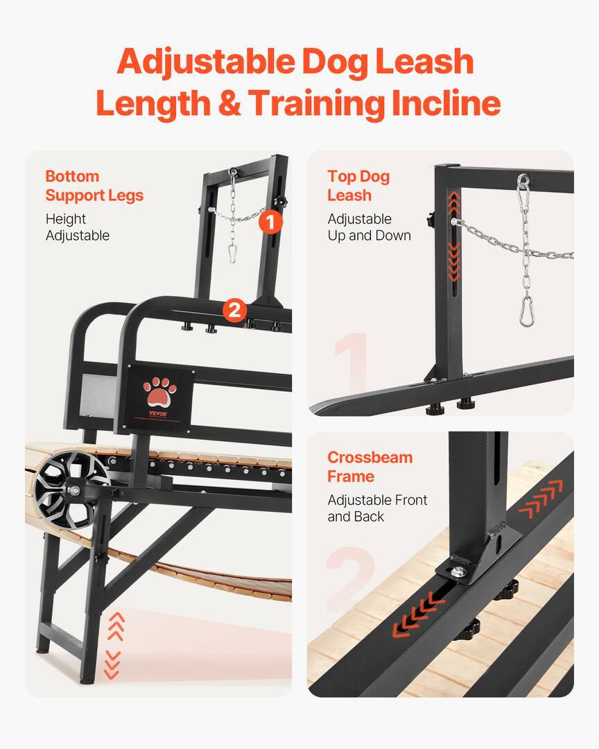 Treadmill for Large Dogs