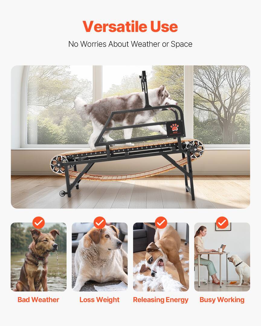Treadmill for Large Dogs