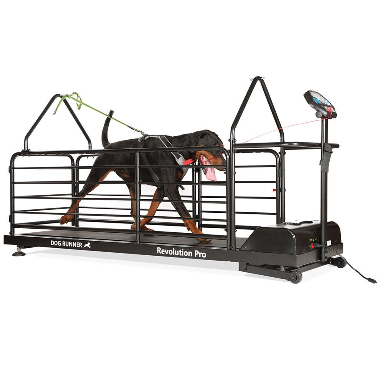 Dog Treadmill for Large Dogs