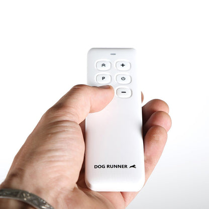 Dog Treadmill for Large Dogs